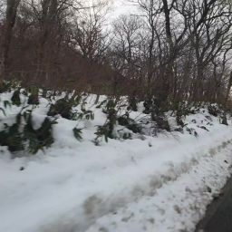 20231228_153552.mp4.jpg