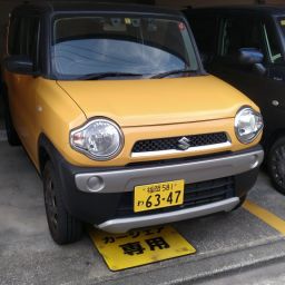 IMG_20231230_113303.jpg