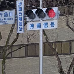 IMG_20240101_130120.jpg
