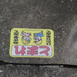 IMG_20240101_132112.jpg