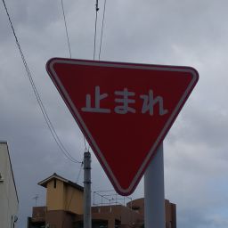 IMG_20240101_132209.jpg