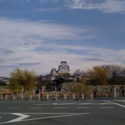 IMG_20231227_101135.jpg