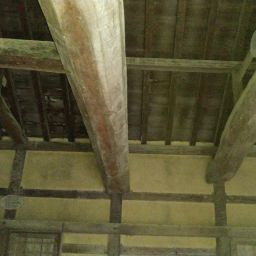 IMG_20231227_112528.jpg