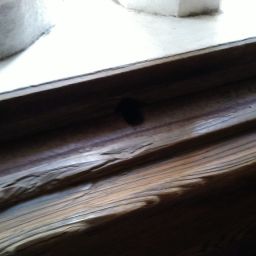 IMG_20231227_113331.jpg