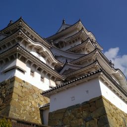 IMG_20231227_124747.jpg