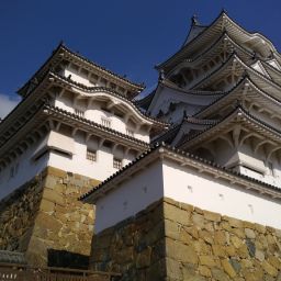 IMG_20231227_124854.jpg