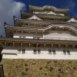 IMG_20231227_125226.jpg