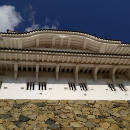 IMG_20231227_125245.jpg