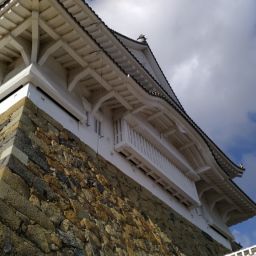 IMG_20231227_125337.jpg