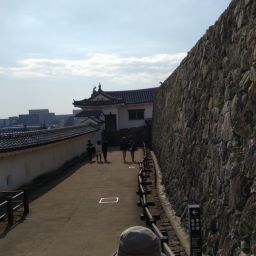 IMG_20231227_125419.jpg