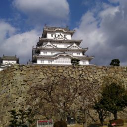 IMG_20231227_125821.jpg