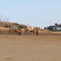 20231229_160533.jpg