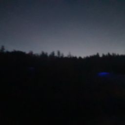 20230701_034108.jpg