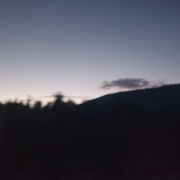 20230701_034923.jpg