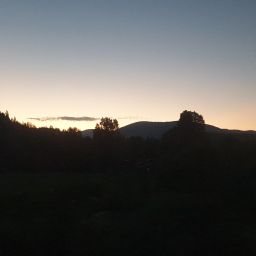 20230701_051658.jpg