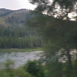 20230701_053940.jpg