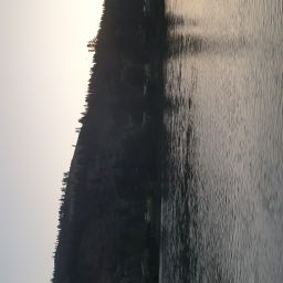 20230701_054015.jpg