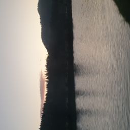 20230701_054030.jpg