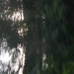 20230701_054040.jpg
