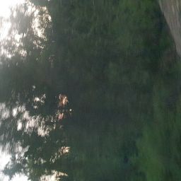 20230701_054052.jpg