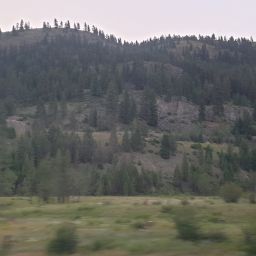 20230701_054405.jpg