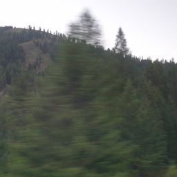 20230701_054438.jpg