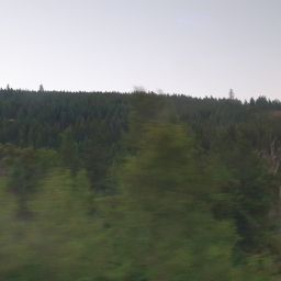 20230701_054453.jpg