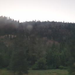 20230701_054552.jpg