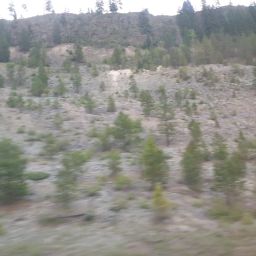 20230701_054725.jpg
