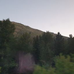 20230701_055116.jpg