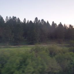 20230701_055958.jpg