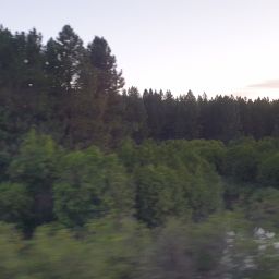 20230701_060007.jpg