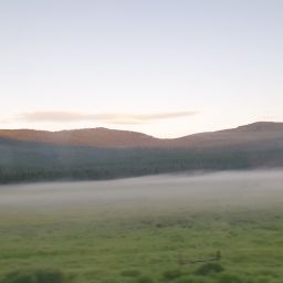 20230701_060304.jpg