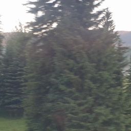 20230701_060325.jpg
