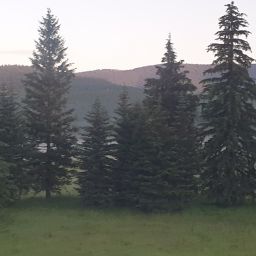 20230701_060326.jpg