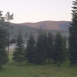 20230701_060328.jpg