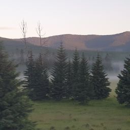 20230701_060331.jpg