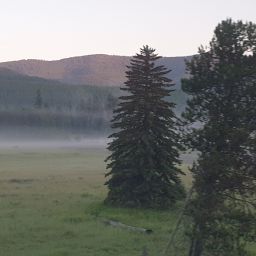 20230701_060336.jpg