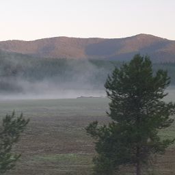 20230701_060341.jpg