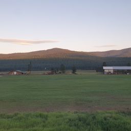 20230701_060503.jpg