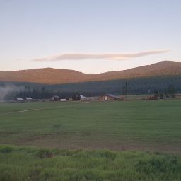 20230701_060508.jpg