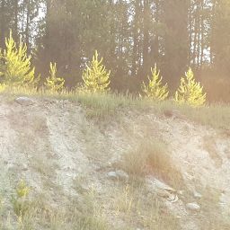 20230701_062311.jpg