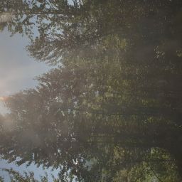 20230701_084656.jpg