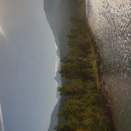 20230701_084706.jpg