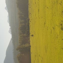 20230701_084743.jpg