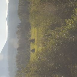 20230701_084747.jpg
