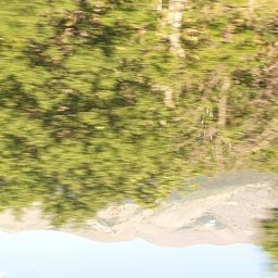 20230701_102239.jpg