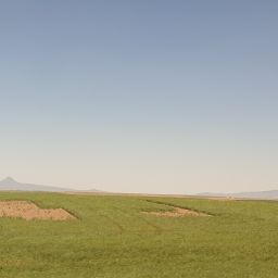 20230701_120141.jpg