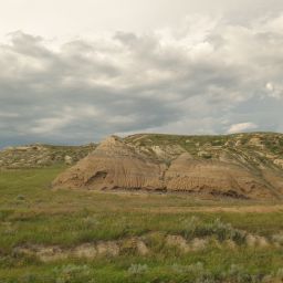 20230701_175430.jpg
