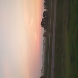 20230702_052006.jpg
